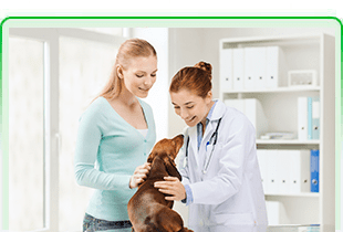 Consulta Veterinaria La Almunia - Cariñena mujer y cliente con una mascota
